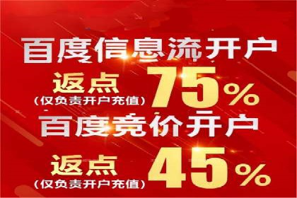百度SEO推广策略调整：一个成功的调整案例